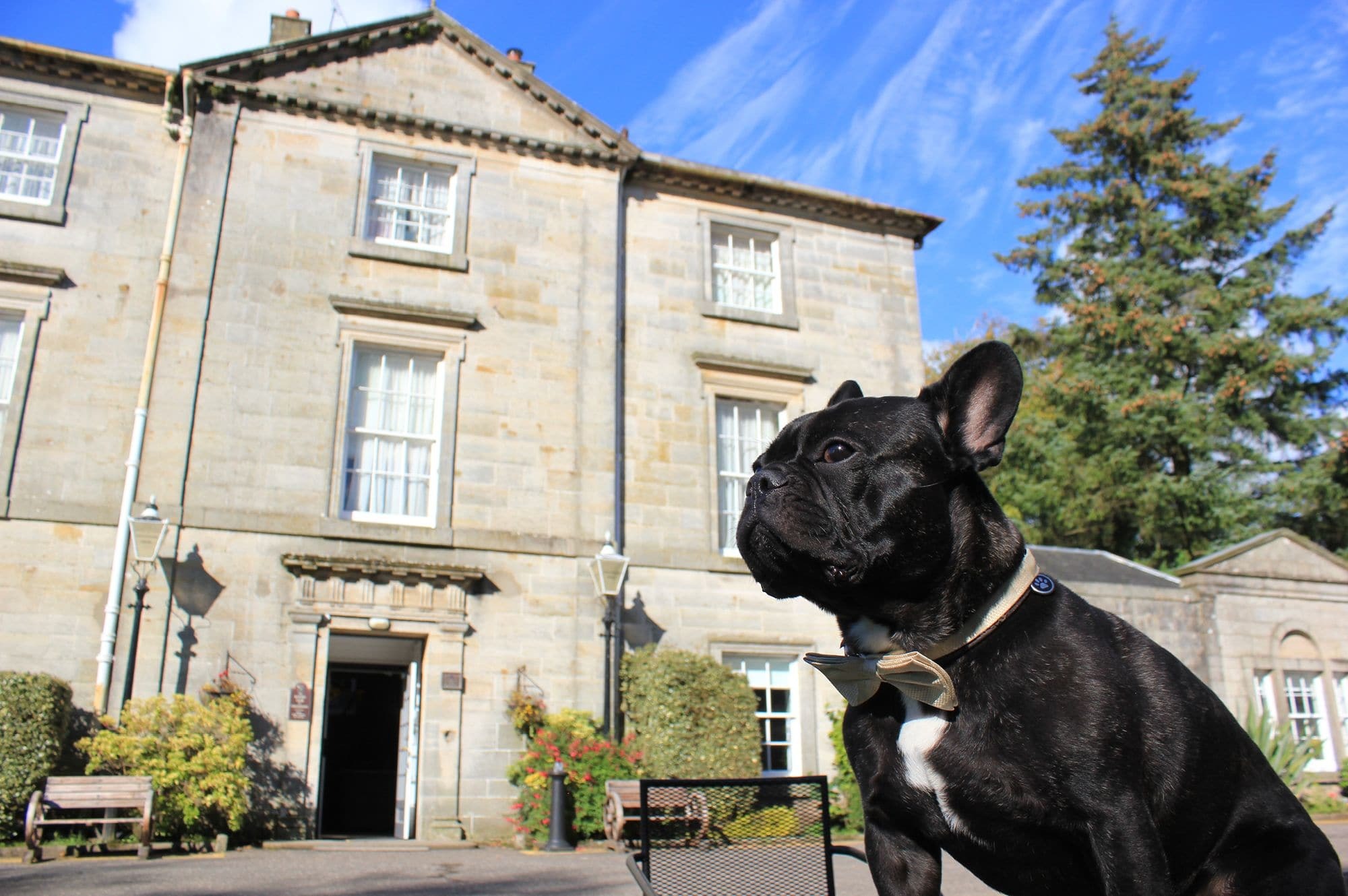 Strathaven Hotel Buitenkant foto